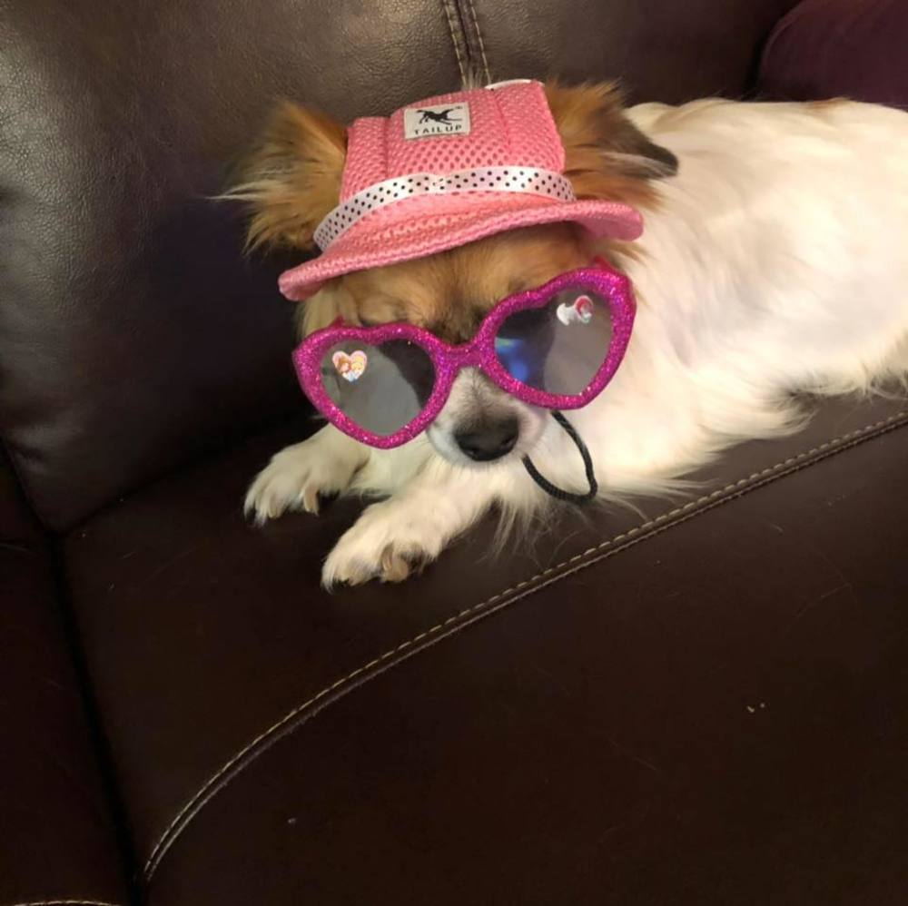 Meet your Posher, Sharon